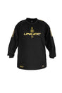 Goalie Sweater ALPHA EVOLAB Black/Gold 25/26