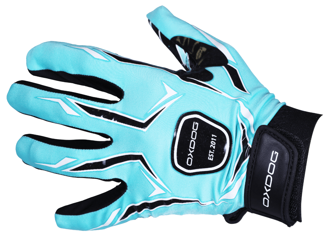 Tour Goalie Gloves